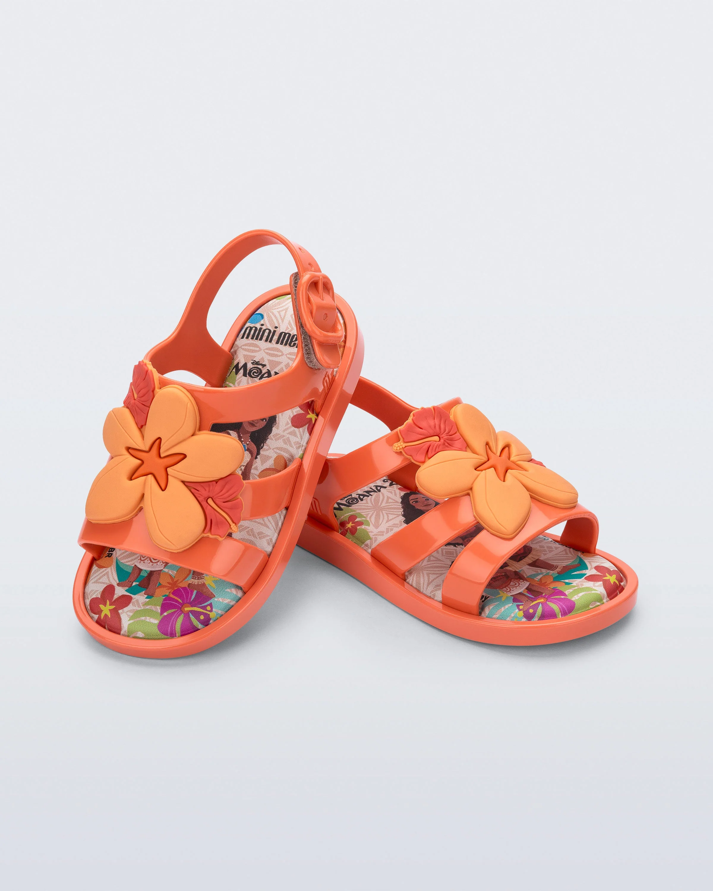 Colorland Moana - Image 3